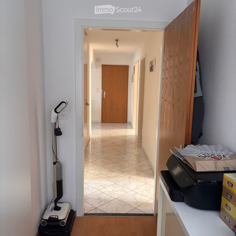 Wohnung 4.5 (1)