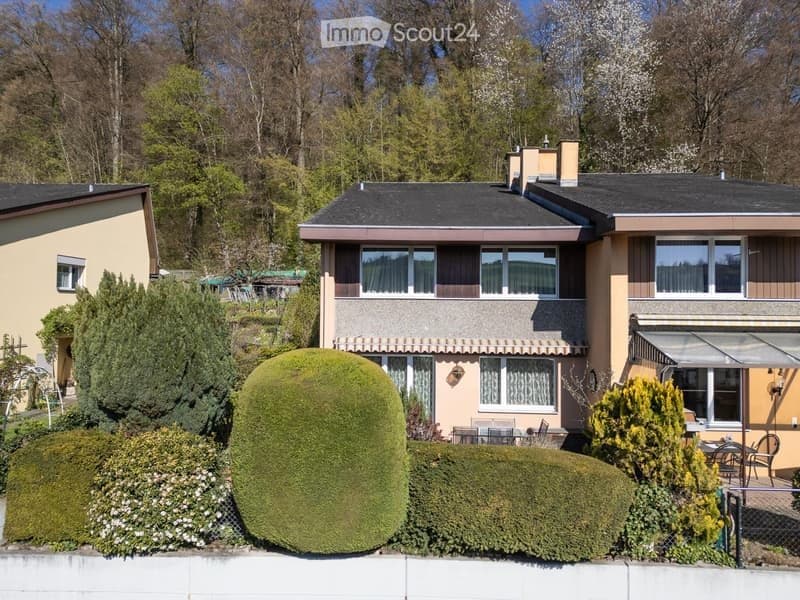 Sunny residential location on the edge of the forest (2)