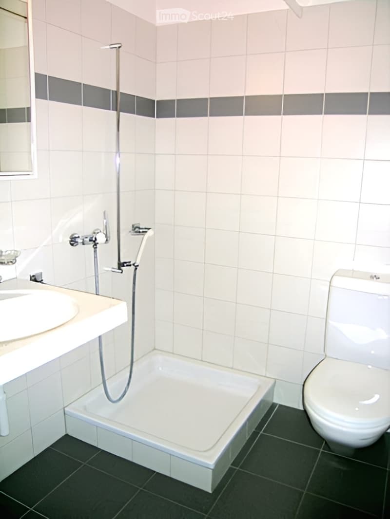Helle grosse Wohnung in Dottikon (159m2 BNF) (5)