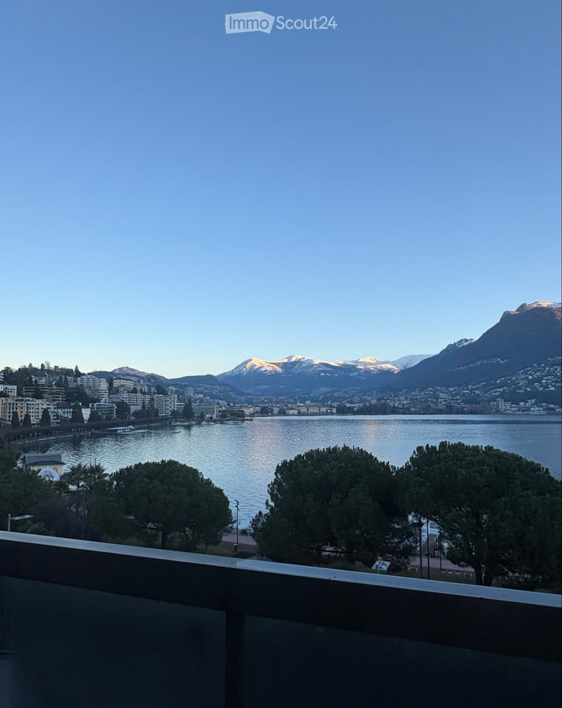 Ich suche einen Nachmieter für ein Einzimmerapartment in Paradiso (5)