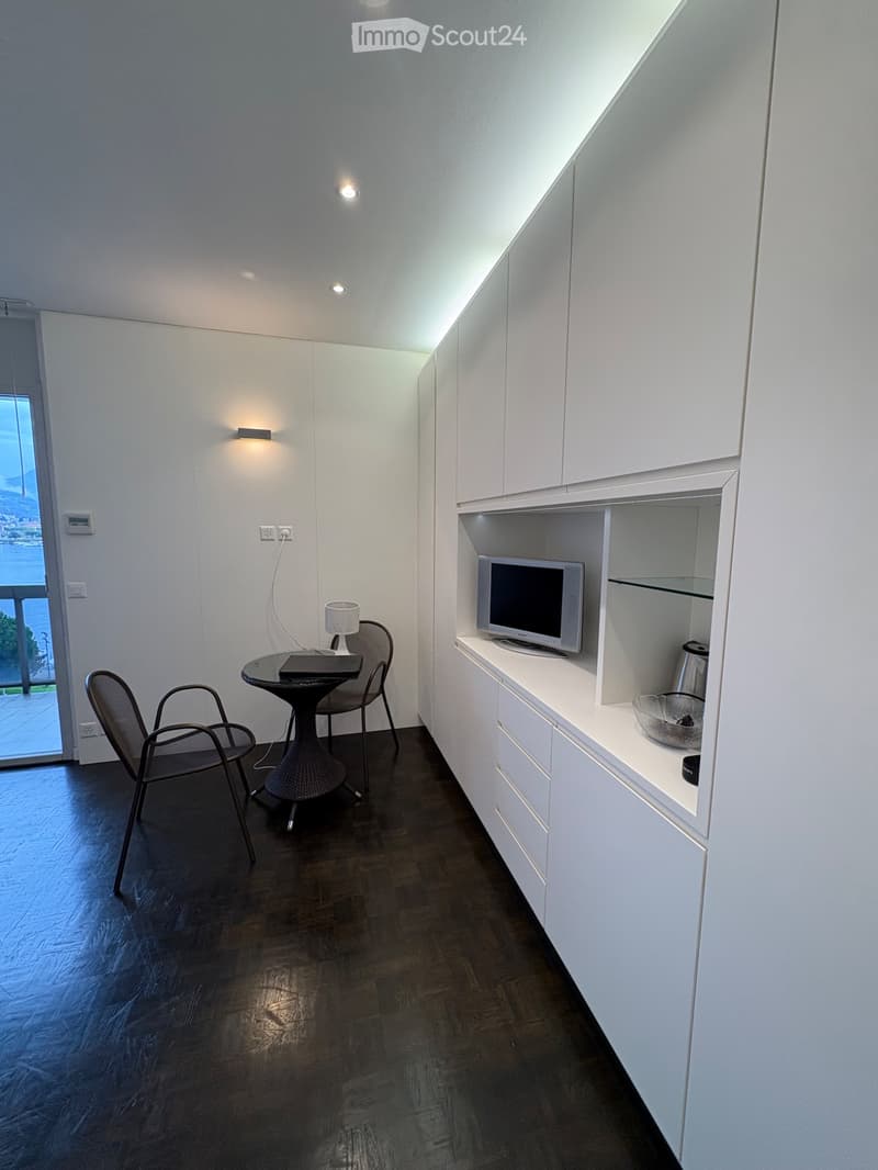 Ich suche einen Nachmieter für ein Einzimmerapartment in Paradiso (3)