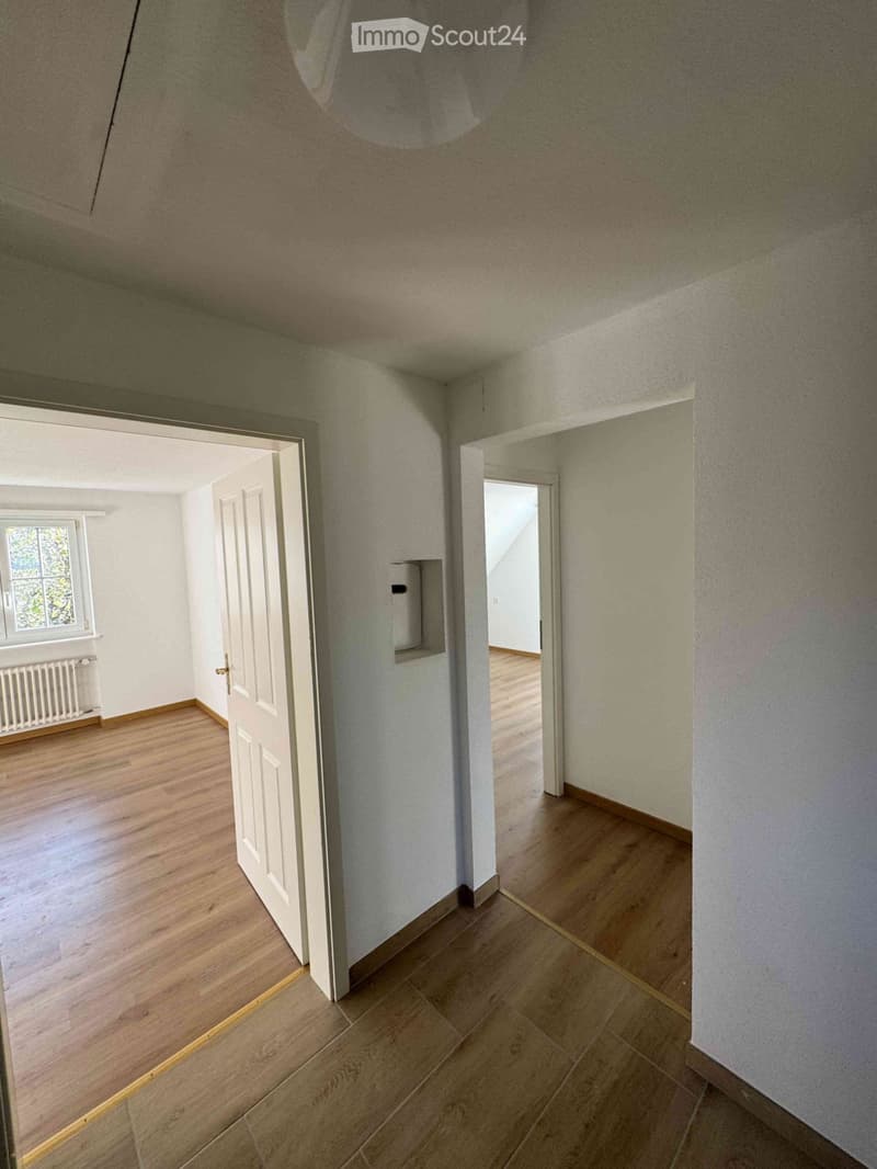 Casa semidetached ristrutturata in affitto dal 1 settembre 2026 (2)