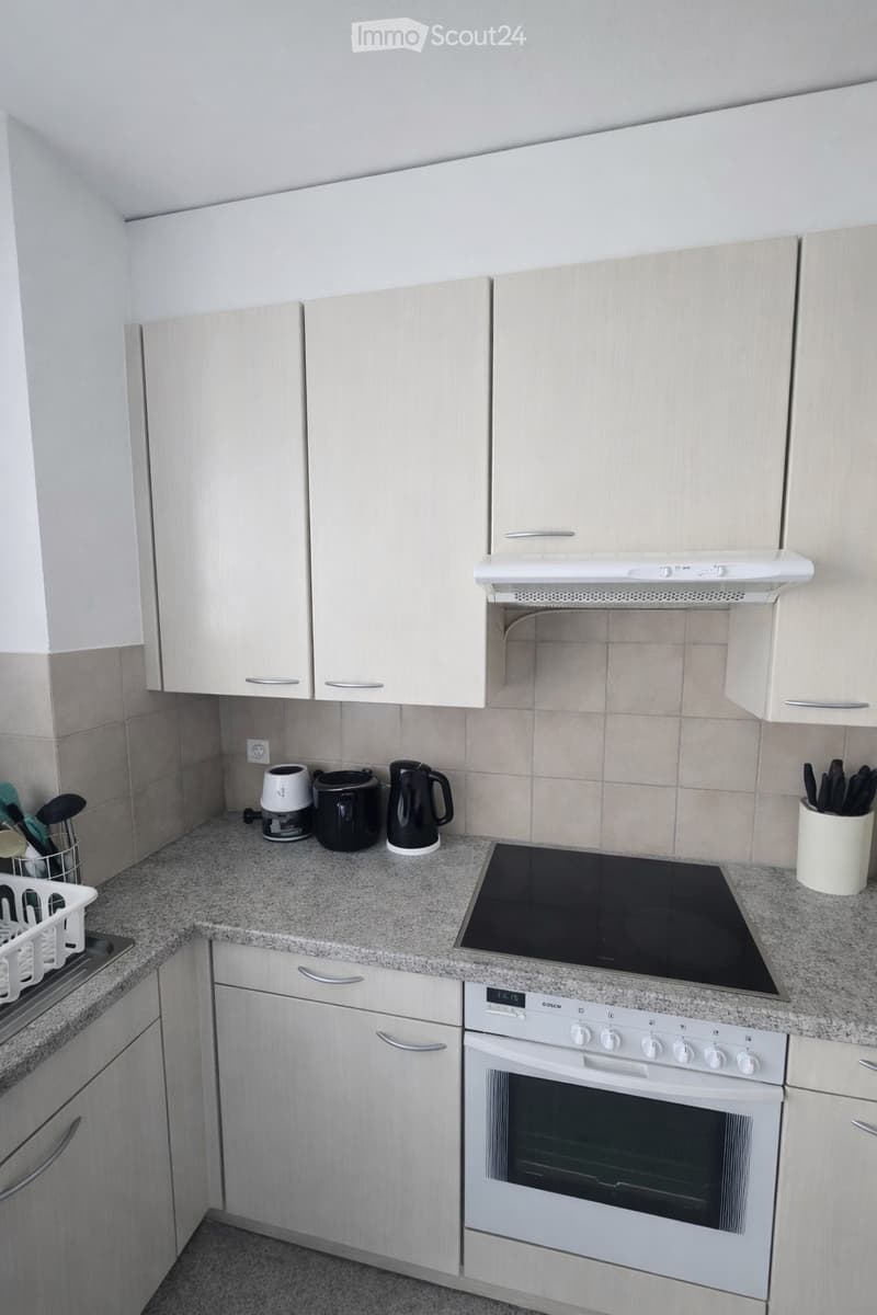 2.5-Room Apartment in Basel-Iselin (3)