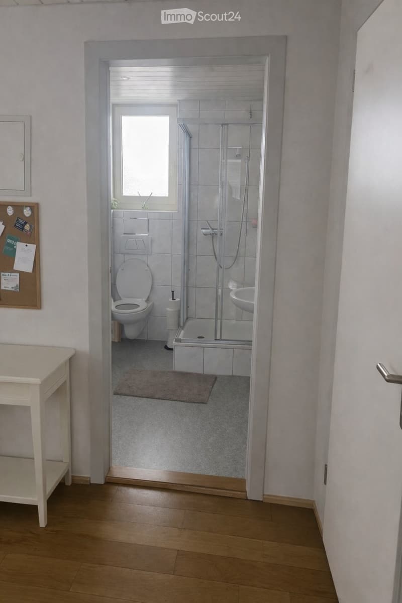 2.5-Room Apartment in Basel-Iselin (4)