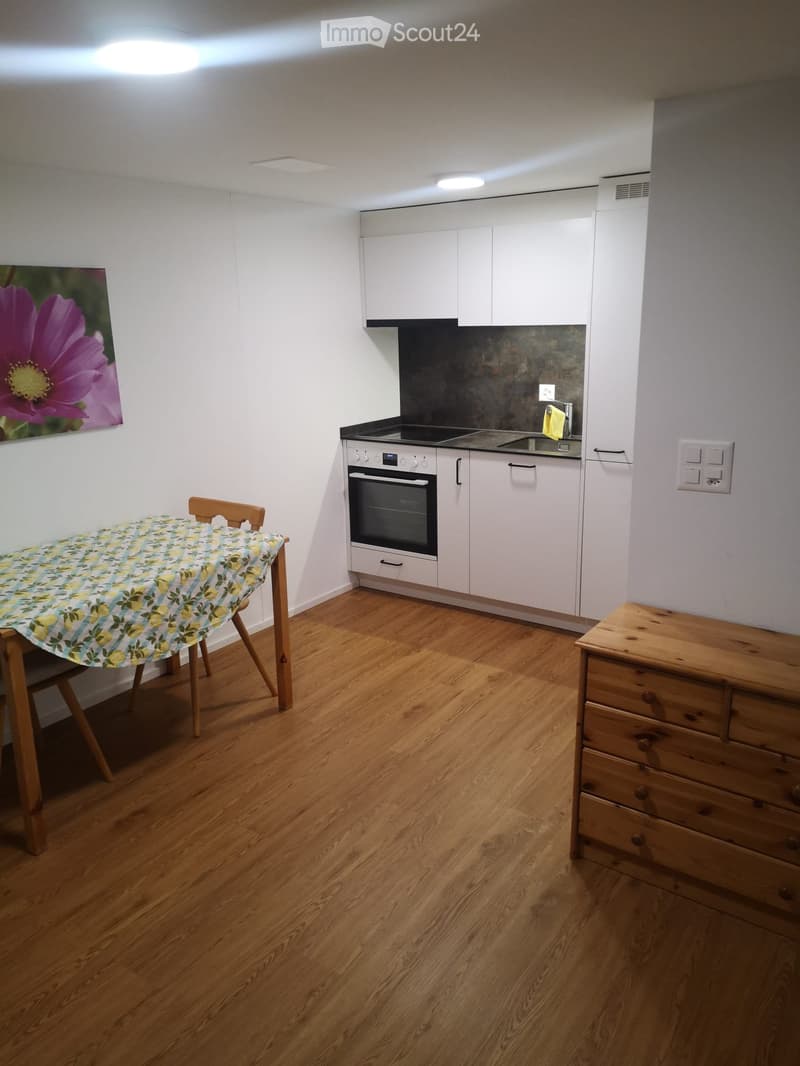 2 pièces appartement au 1er étage (3)