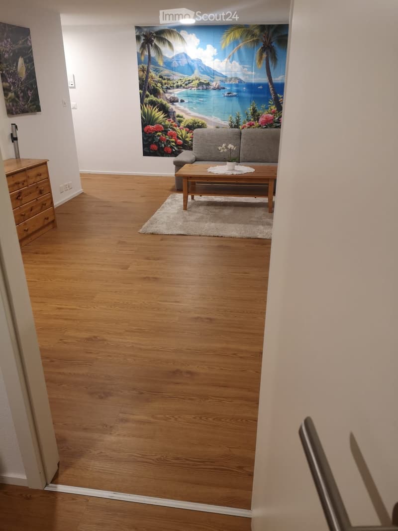 2 pièces appartement au 1er étage (1)