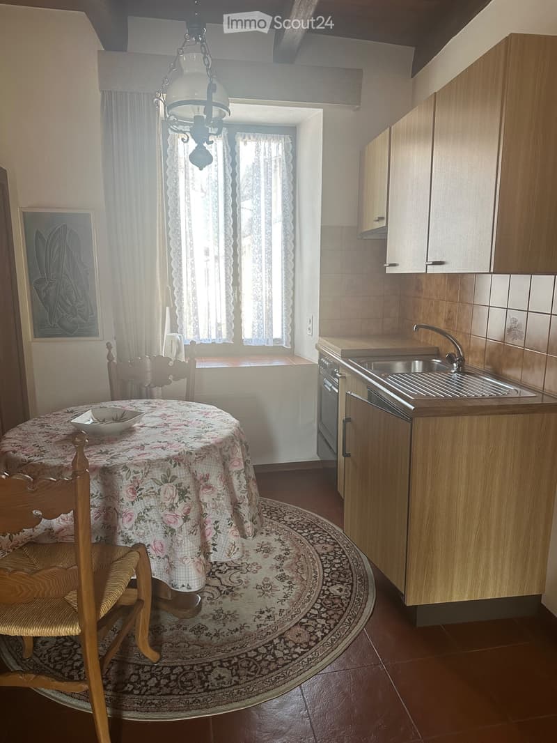 Studio 1,5 Zimmer, in historischem Haus (4)