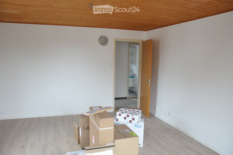 Einfamilienhaus mit viel Platz, Garten, Garage, Gartenhaus (5)
