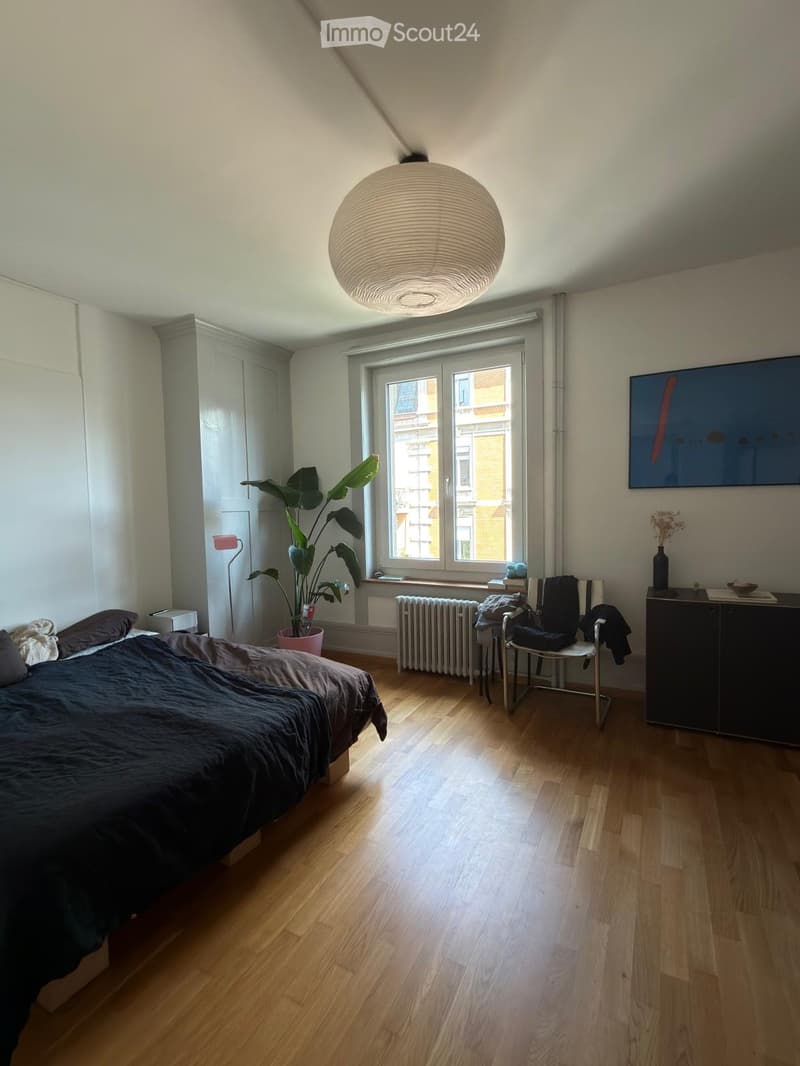 Möblierte 4-Zimmer-Wohnung in Zürich Kreis 4 zur Untermiete (5)
