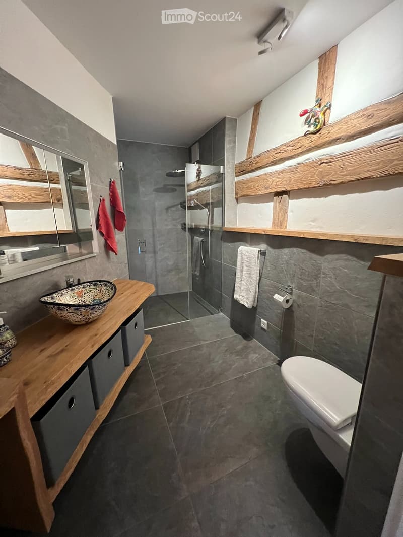 Loft meublé à louer temporairement (2)
