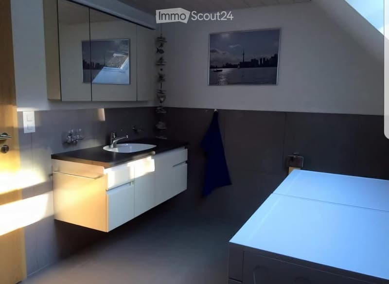 Appartement 3,5 pièces à louer (5)