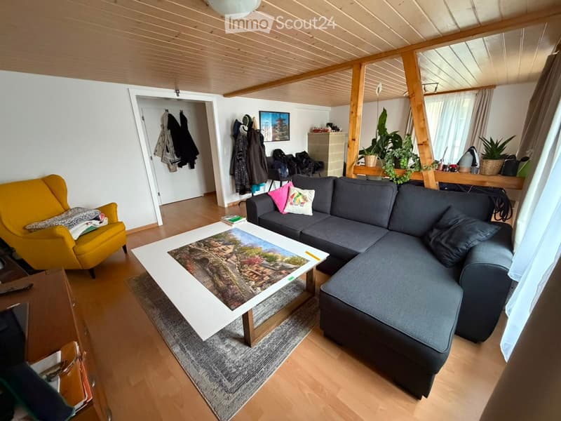Belle vue appartement ancien (3)
