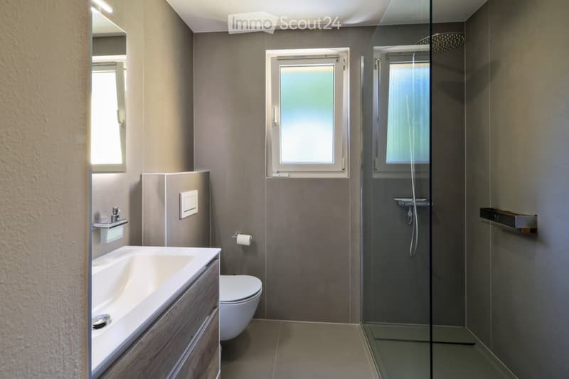 Villa complètement rénovée avec piscine et pool house (3)