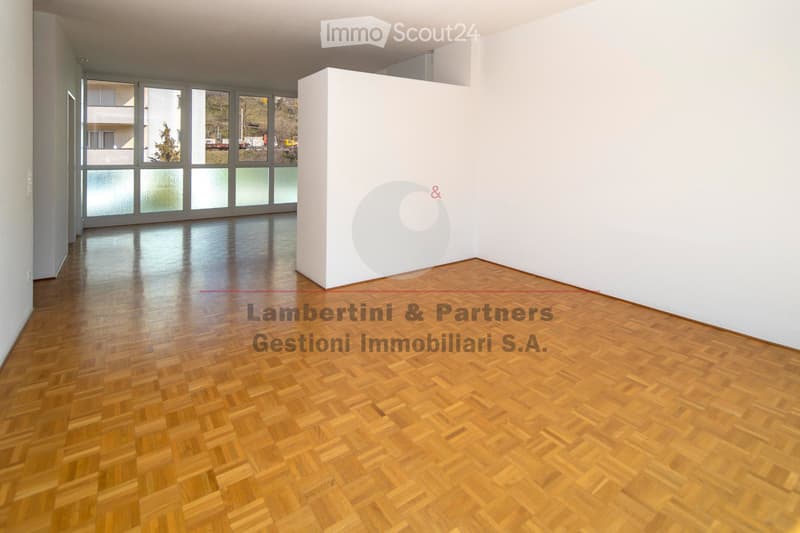 APPARTAMENTO 4.5 LOCALI a Balerna (3)