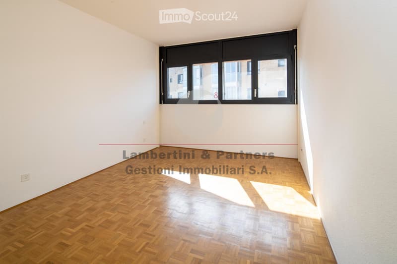 APPARTAMENTO 4.5 LOCALI a Balerna (5)