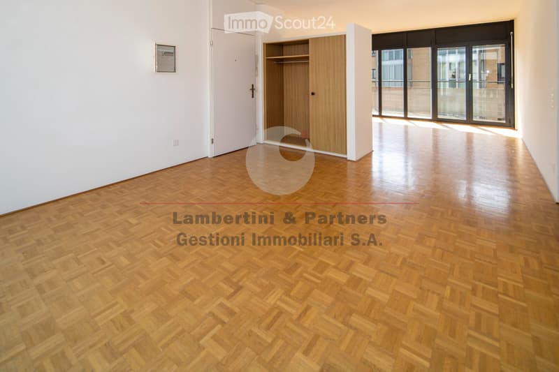 APPARTAMENTO 4.5 LOCALI a Balerna (2)