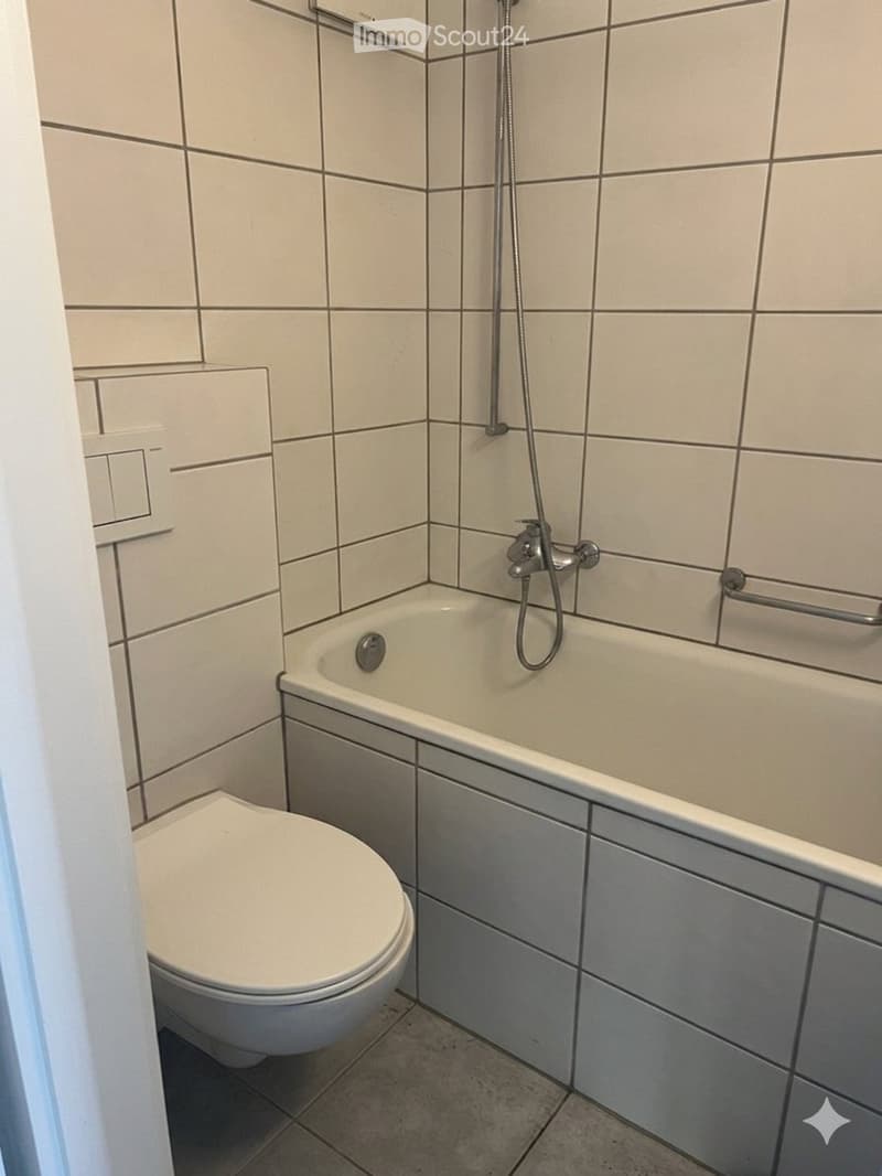 Recherche locataire - appartement 2 pièces à Aarburg (3)