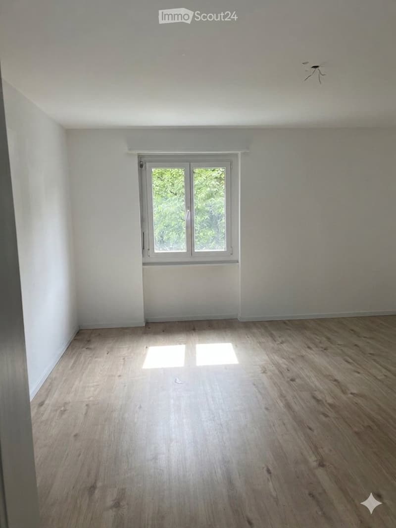 Recherche locataire - appartement 2 pièces à Aarburg (2)