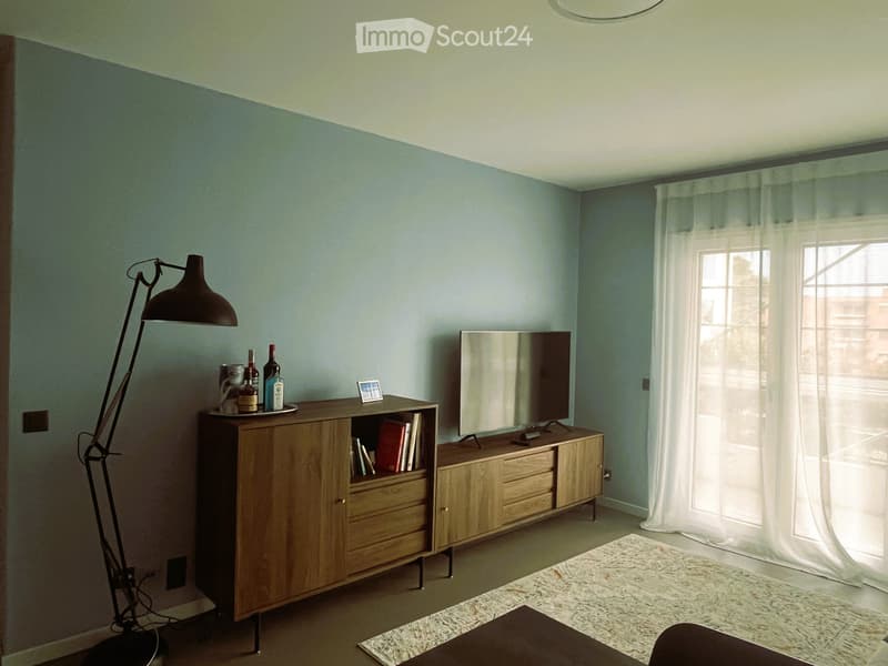 Apartment 3.5 Melide (2)
