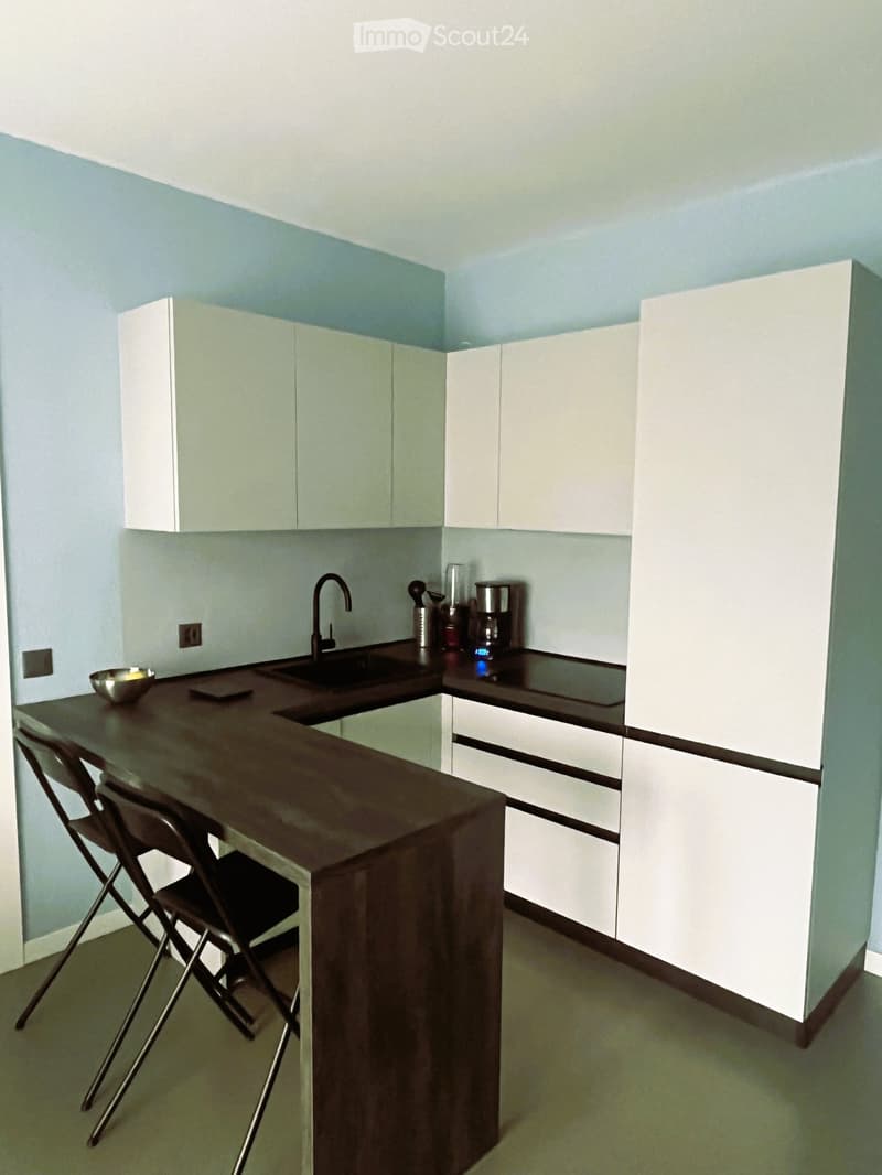 Apartment 3.5 Melide (3)
