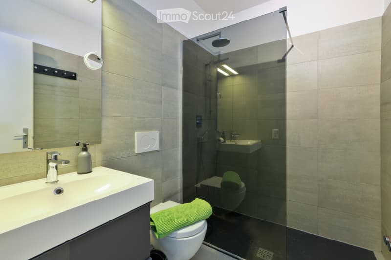 Apartment al Lido Ascona (2)