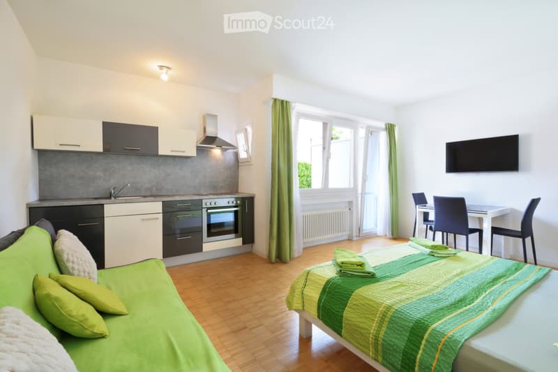 Apartment al Lido Ascona (3)