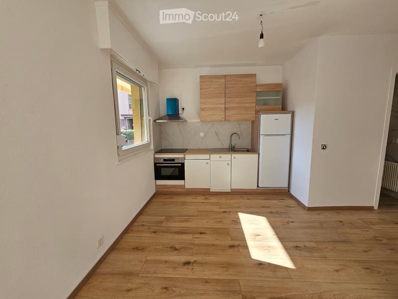 Appartement renoviert und vermietet, exzellente Rendite (3)