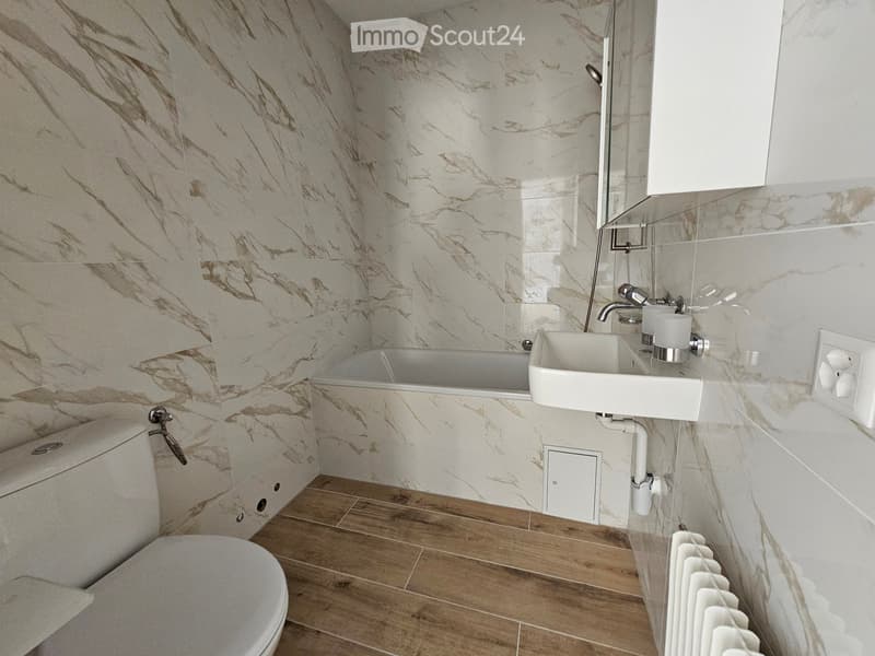 Appartement renoviert und vermietet, exzellente Rendite (4)
