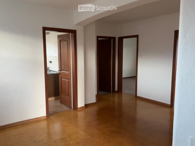 Affascinante appartamento 3.5 locali in vecchio edificio cerca un subaffittuario (118 m²) (4)