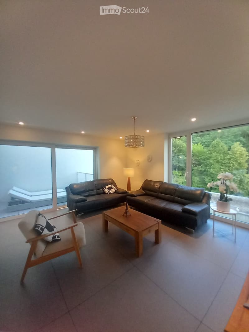 Haus Tessin (1)