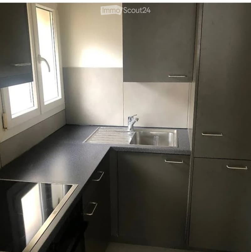 Recherche d'un sous-locataire pour un appartement de 3,5 pièces avec climatisation (1)