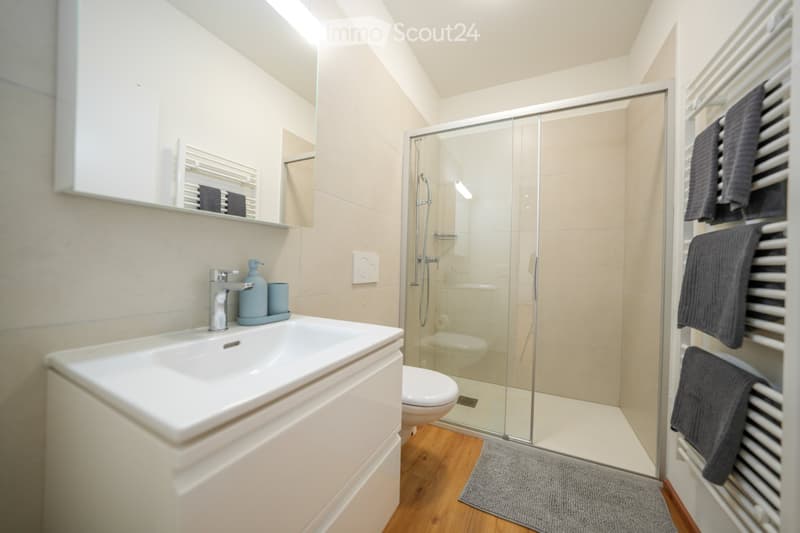Möbliertes Loft in Locarno City zu vermieten (2)