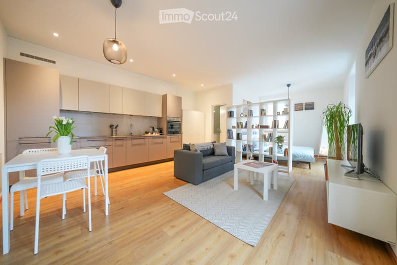 Möbliertes Loft in Locarno City zu vermieten (4)