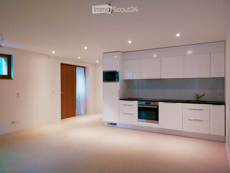 Appartement moderne 2 pièces (2)