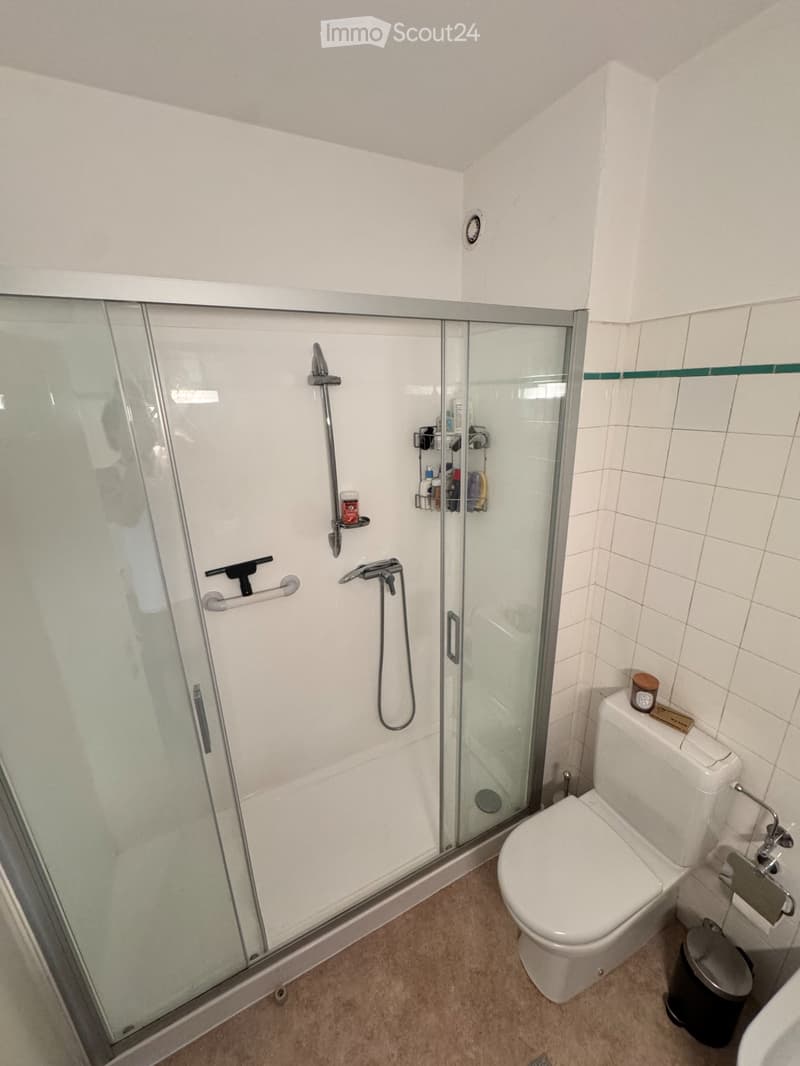 Helles 3.5-Zimmer-Apartment mit großem Terrassenbereich (4)