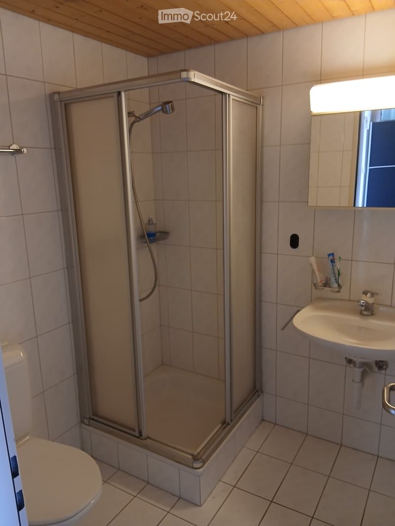 Tenant wanted for studio apartment (2)