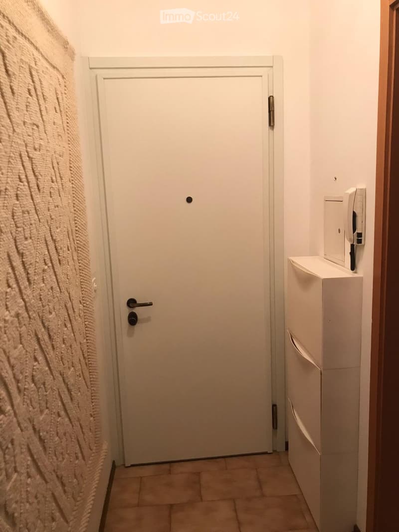 Molino Nuovo, furnished two-room apartment with parking and washing machine (3)