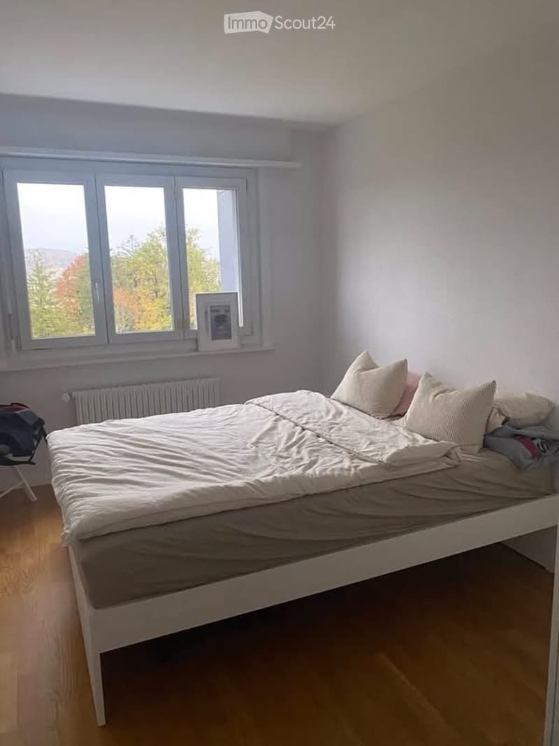 Zimmergenosse/in in Freiburg gesucht (2)