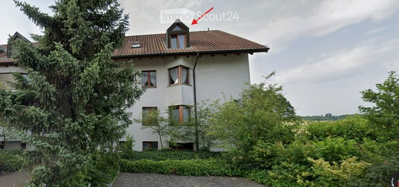 Charmante 4.5-Zimmer-Dachwohnung in Kappel (1)