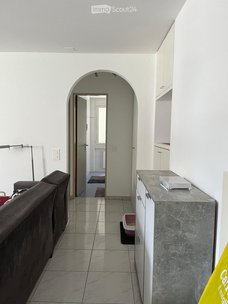 Affittasi appartamento (3)