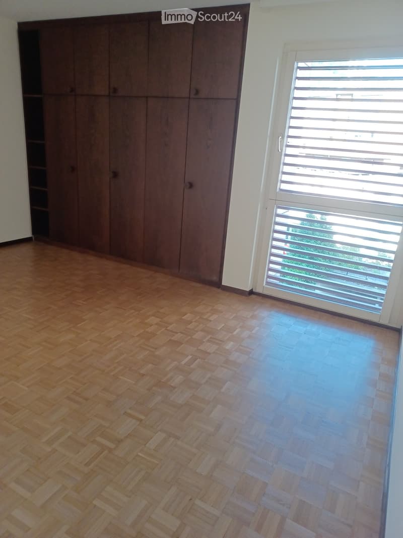 affittasi a coppia tranquilla , appartamento di locali 3 1/2 (5)