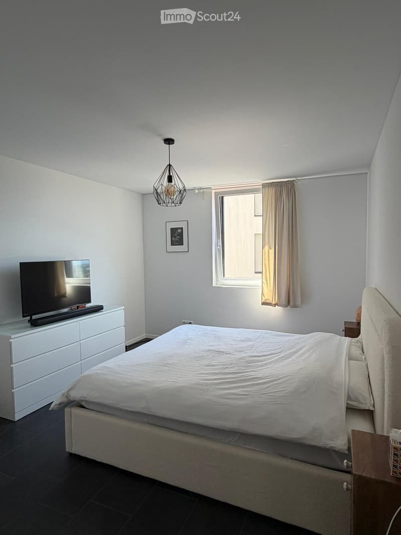 Cercasi subentrante per splendido 3.5 a Camorino (2)