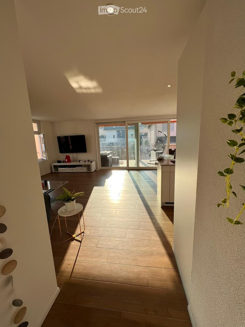 Appartamento moderno 4.5 locali (1)