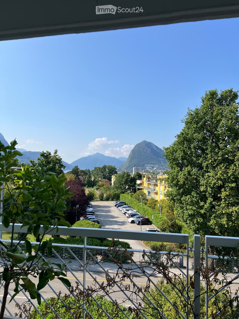 Attico 3.5 locali vista lago, terrazza e 2 parcheggi (1)