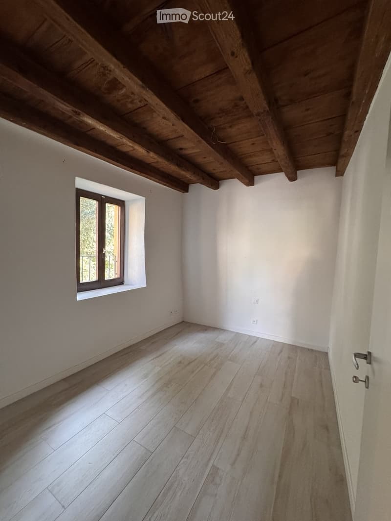 Appartamento ristrutturato Gentilino (3)
