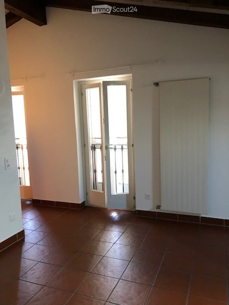 Massagno Appartamento Duplex, centrale (5)