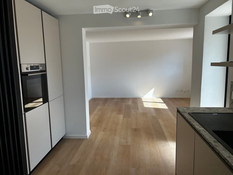 Affitasi appartamento 3.5 locali zona centrale a Mendrisio (2)