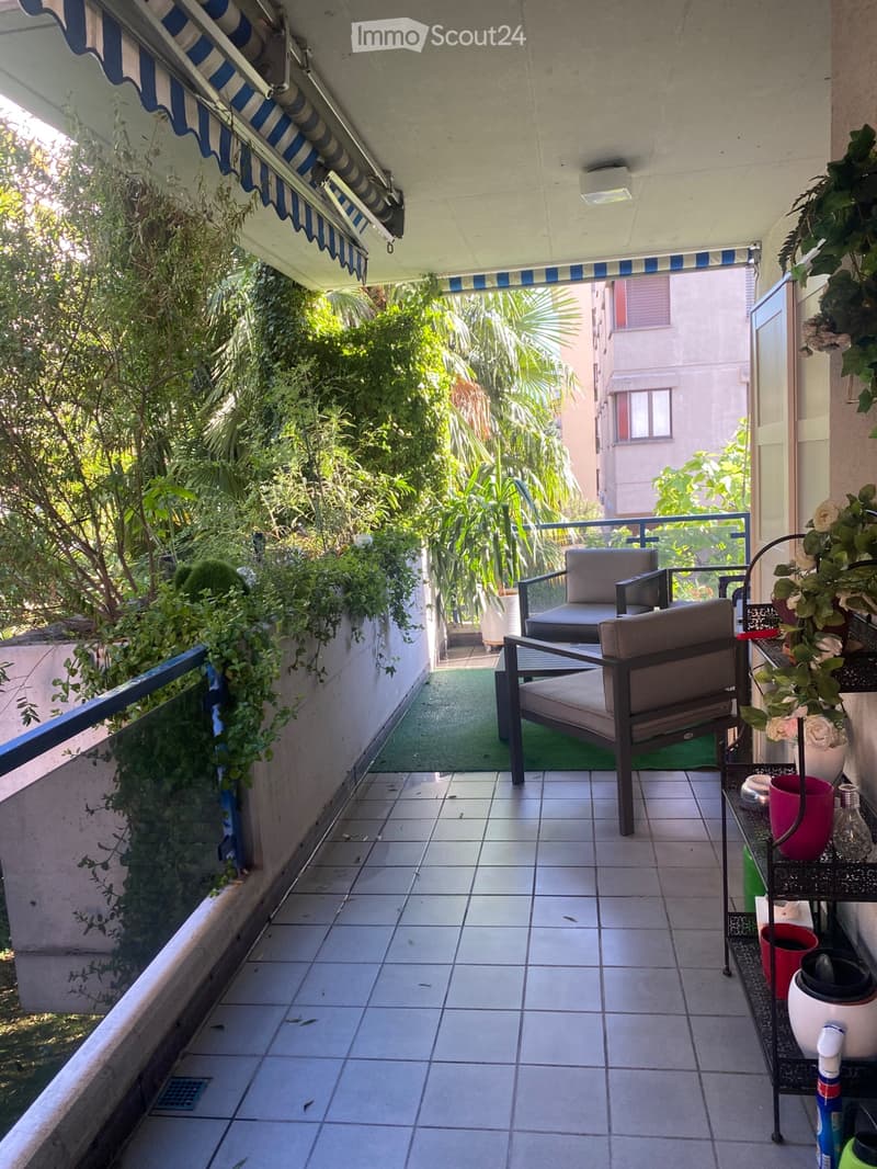 Schönes Apartment in Molino neu (2)