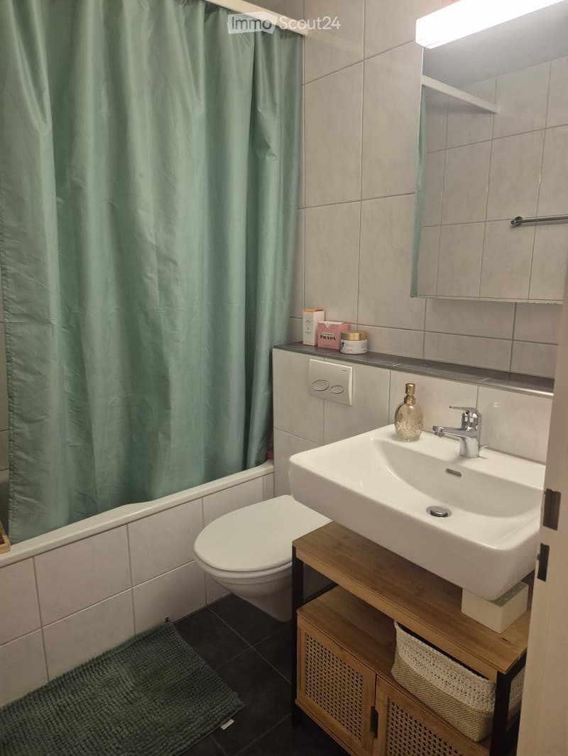 Nachmieter gesucht für zentrale Wohnung in ruhigem Quartier (4)