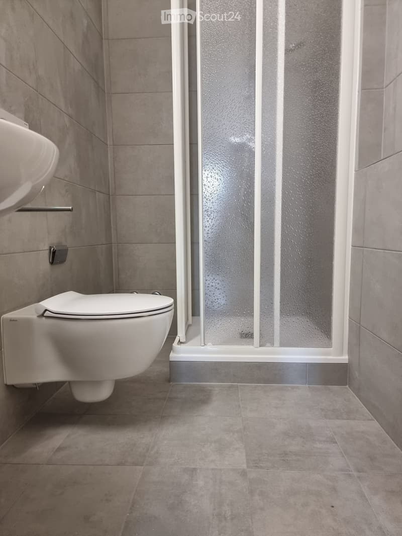 Möbliertes Einzimmerapartment in Lugano (2)